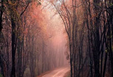 英超:切尔西主场强势,热刺能否顶住压力?切尔西VS热刺.