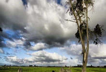 澳门六合彩：山东小将张子宇亮相WCBA全明星周末.