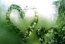 CBA战报：广东106-94吉林取CBA3连胜，伯克30+10+6.